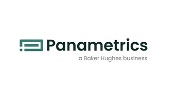 Panametrics